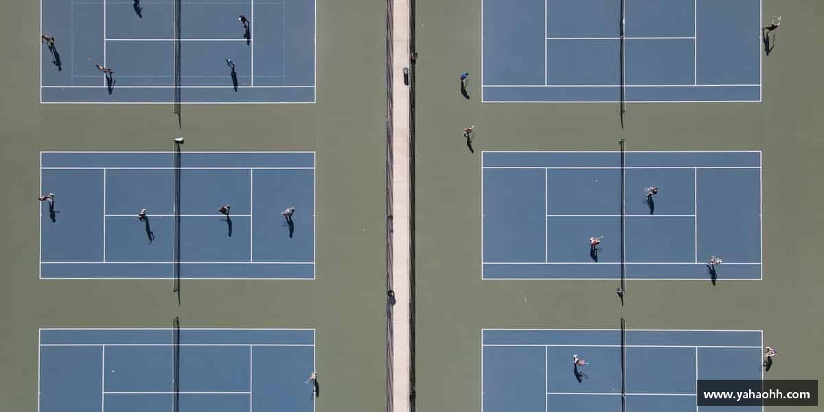 介绍熊猫体育中国